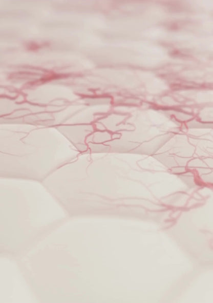 Indiba Facial Premium